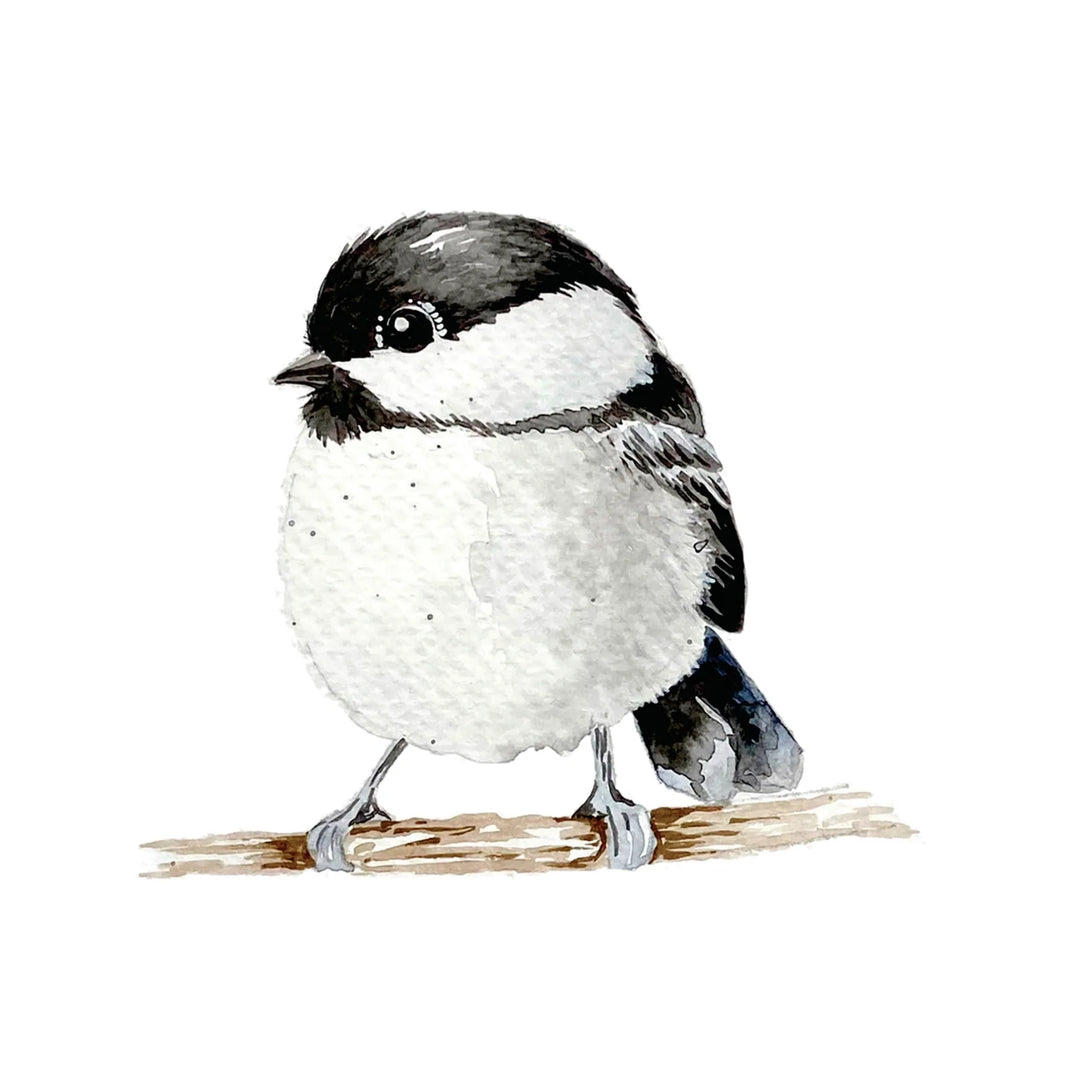 Beautiful Birds Watercolour Workbook