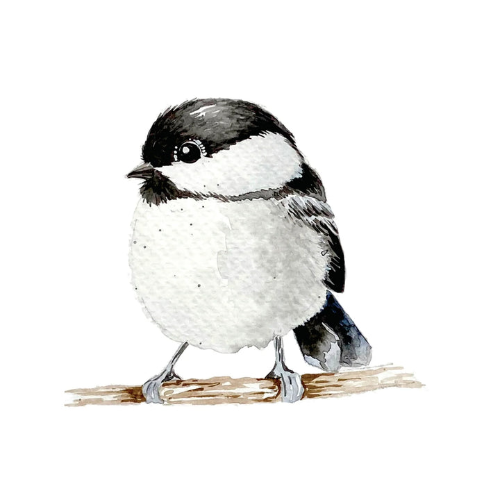 Beautiful Birds Watercolour Workbook