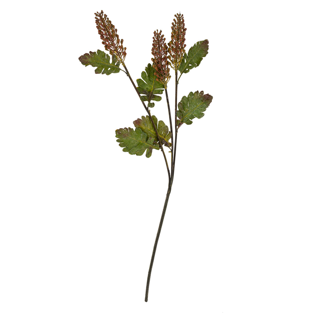 Astilbe Spray