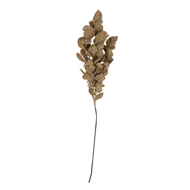 Autumn Leaves Branch - Brown