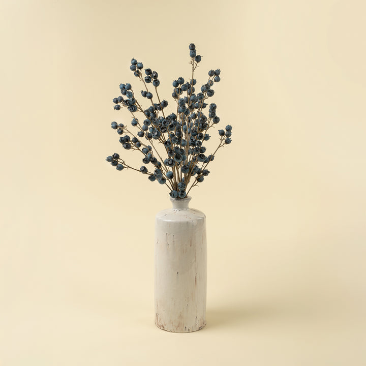 Blueberry Branch
