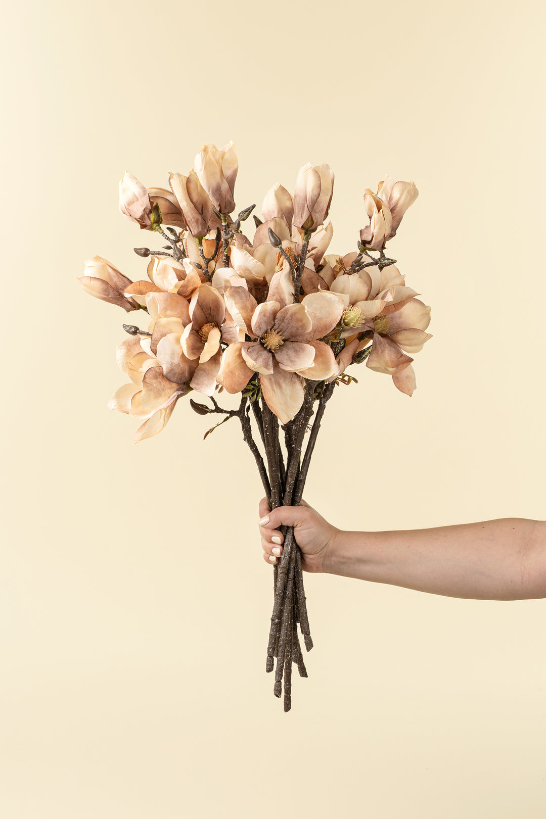 Magnolia Branch