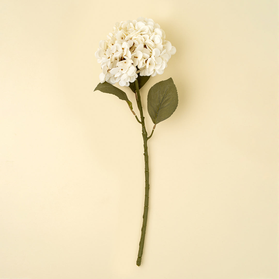 Hydrangea Stem