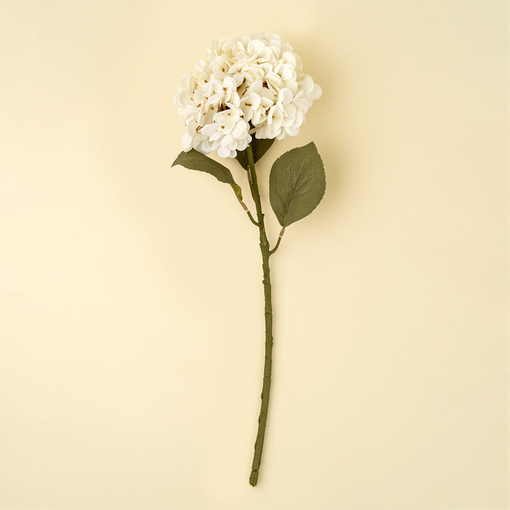 Hydrangea Stem