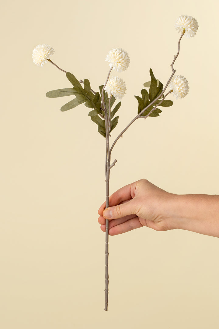 White Pom Pom Spray