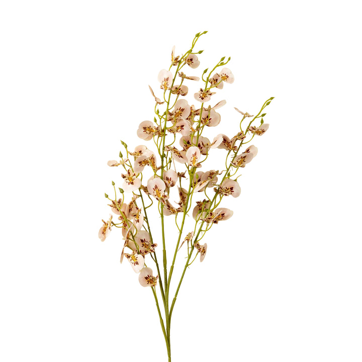 Wild Orchid Spray