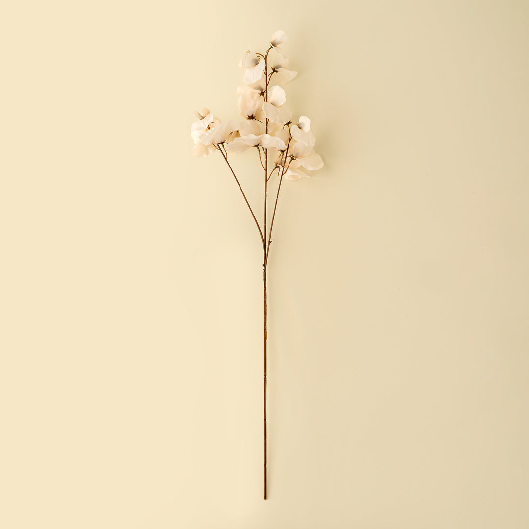 White Sweet Pea Stem