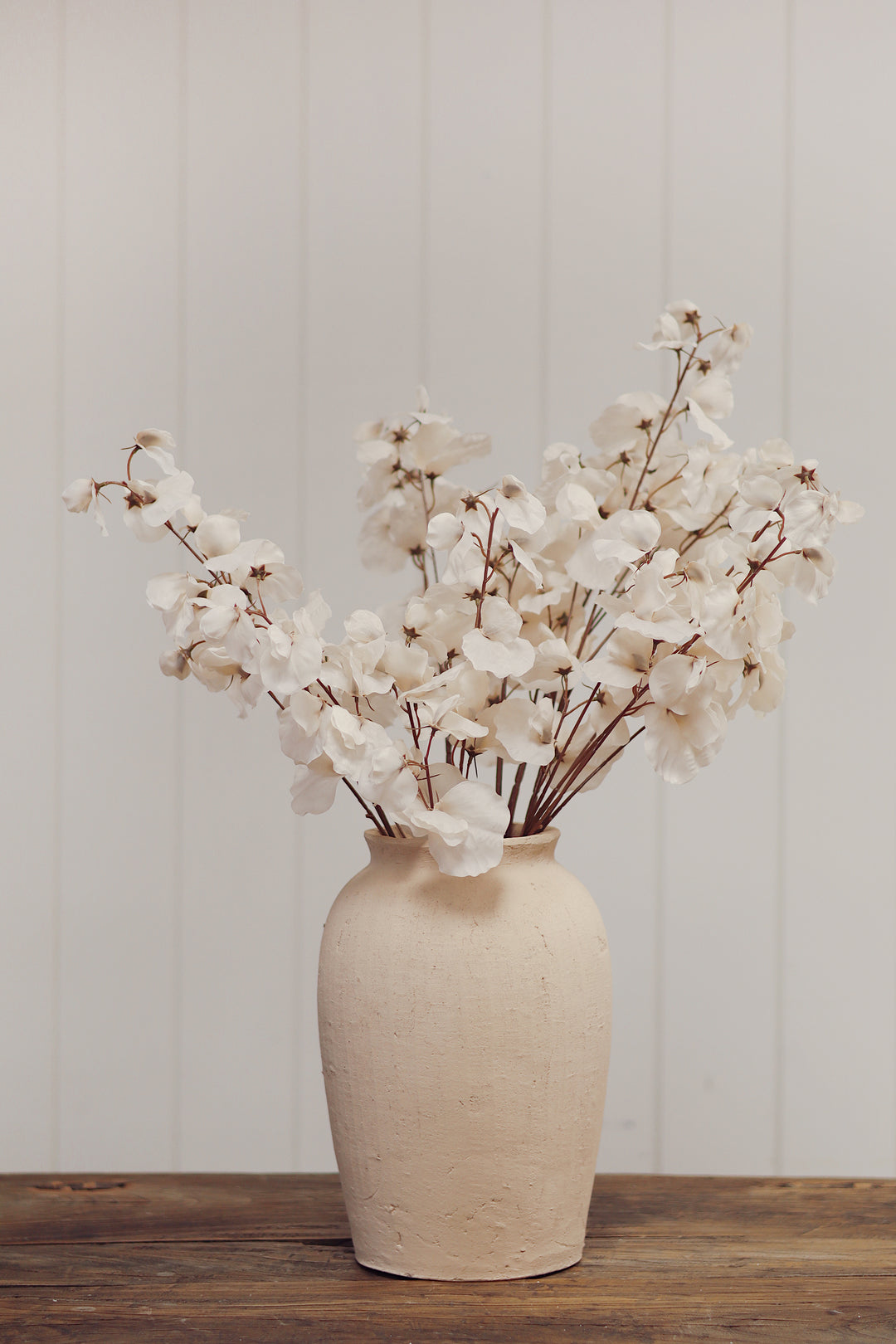 White Sweet Pea Stem
