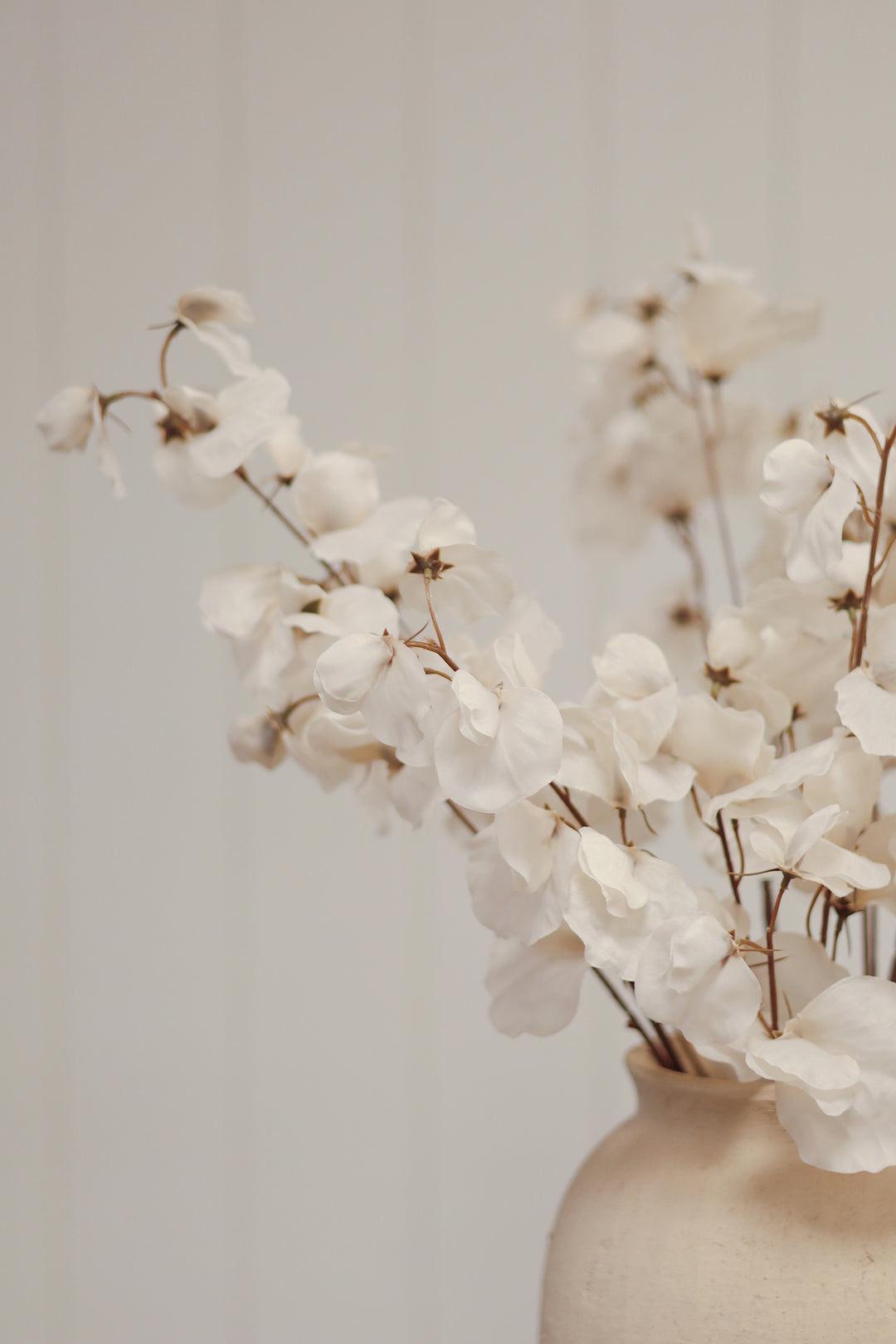 White Sweet Pea Stem