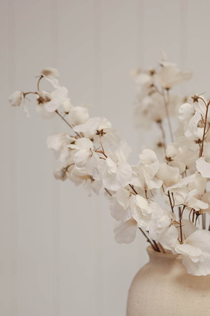 White Sweet Pea Stem
