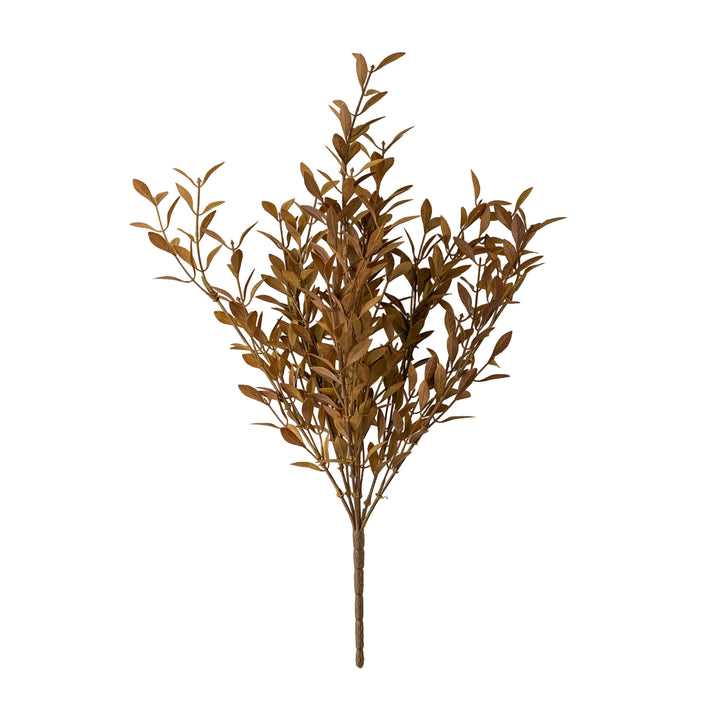Willow Leaf Spray