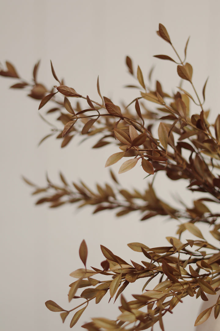Willow Leaf Spray