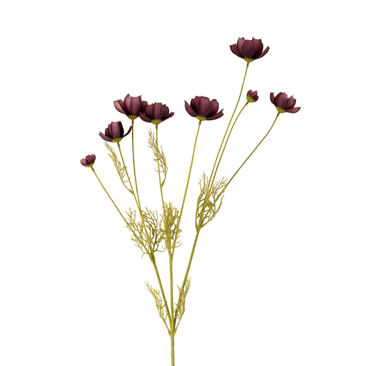 Calliopsis Spray - Deep Purple