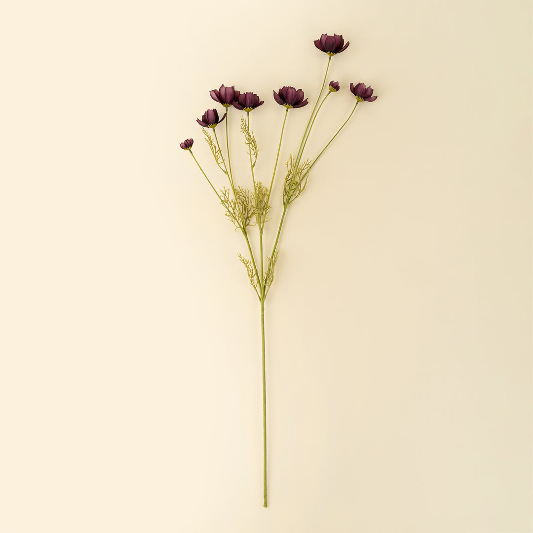 Calliopsis Spray - Deep Purple