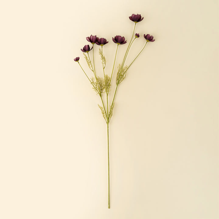 Calliopsis Spray - Deep Purple