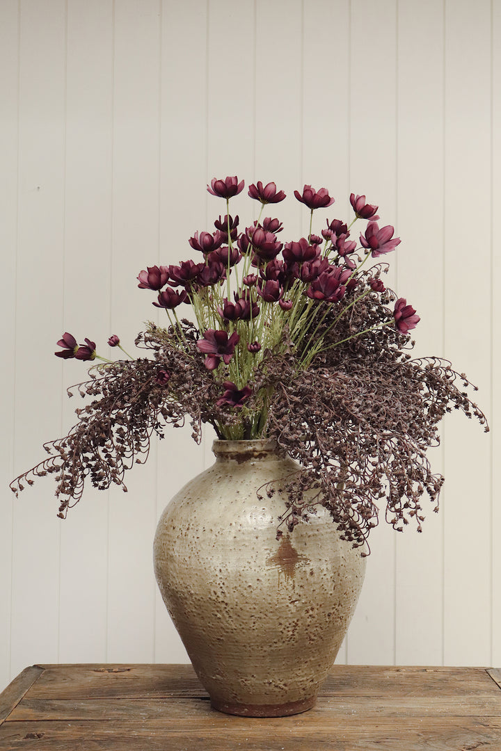 Calliopsis Spray - Deep Purple