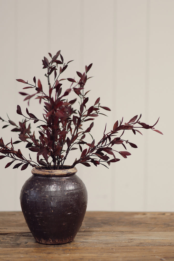 Willow Leaf Spray - Plum