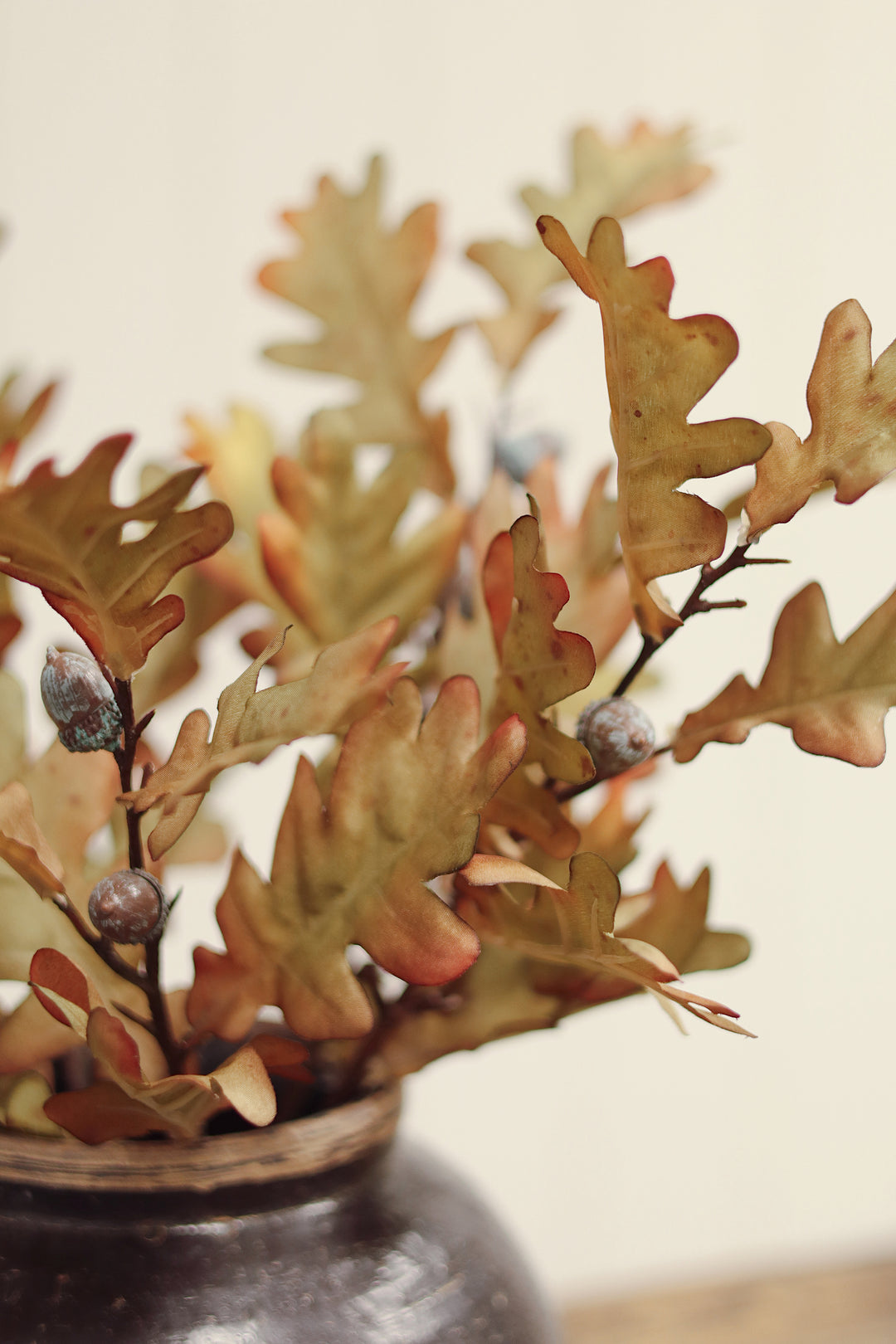 Oak Leaf Stem