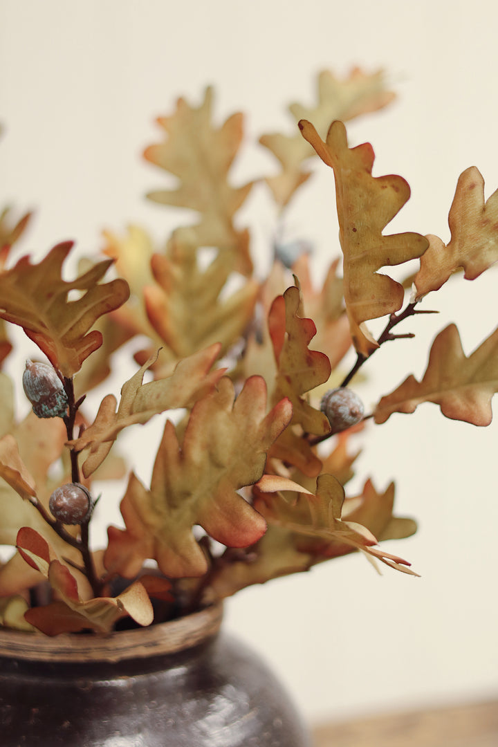 Oak Leaf Stem