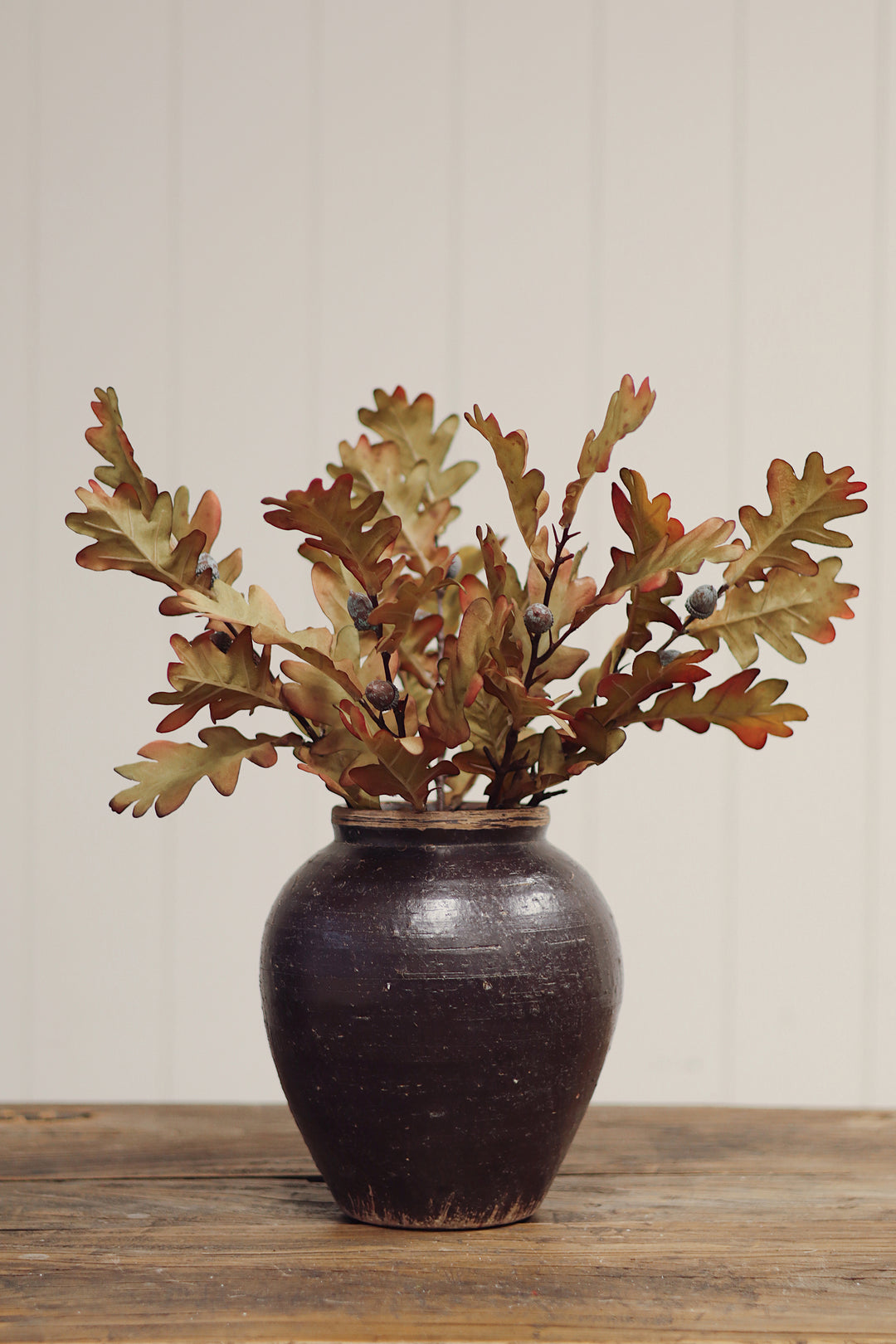 Oak Leaf Stem