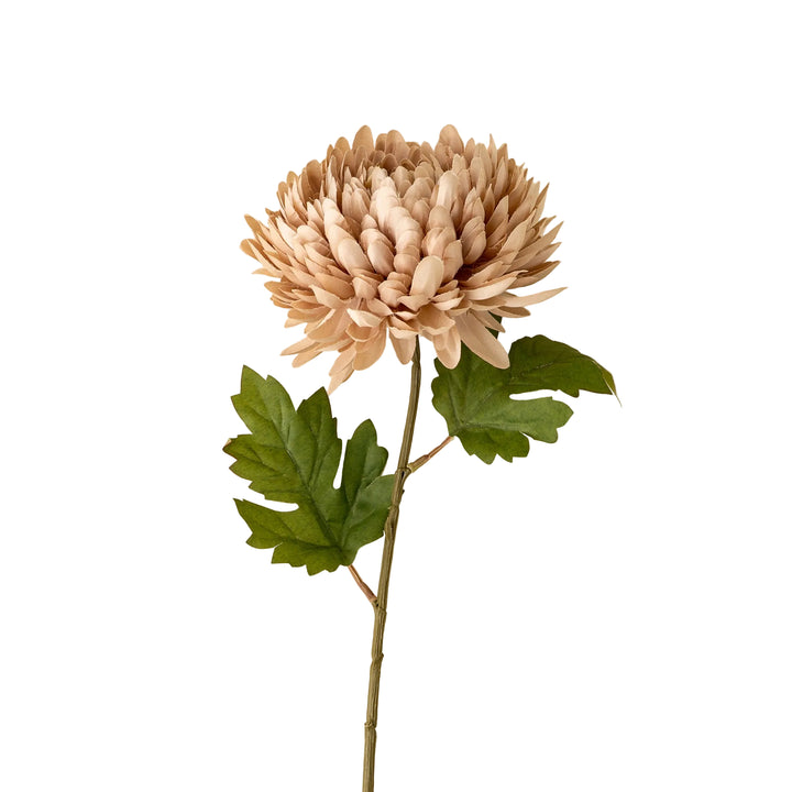Chrysanthemum Stem - Dusty Pink