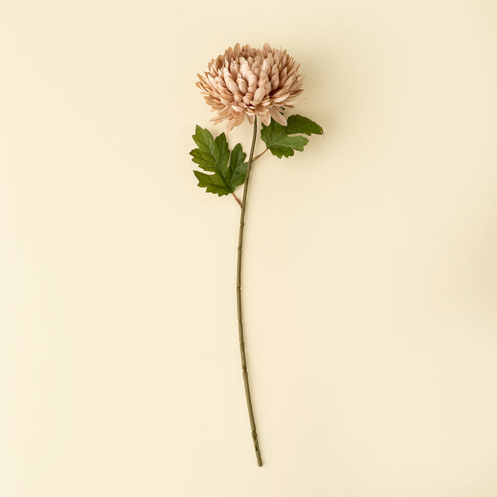 Chrysanthemum Stem - Dusty Pink
