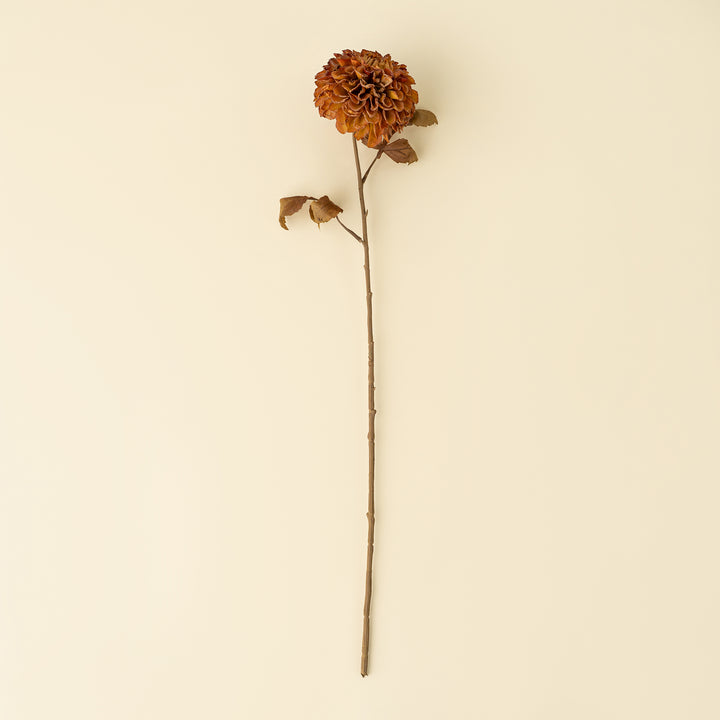 Dahlia Stem - Brown