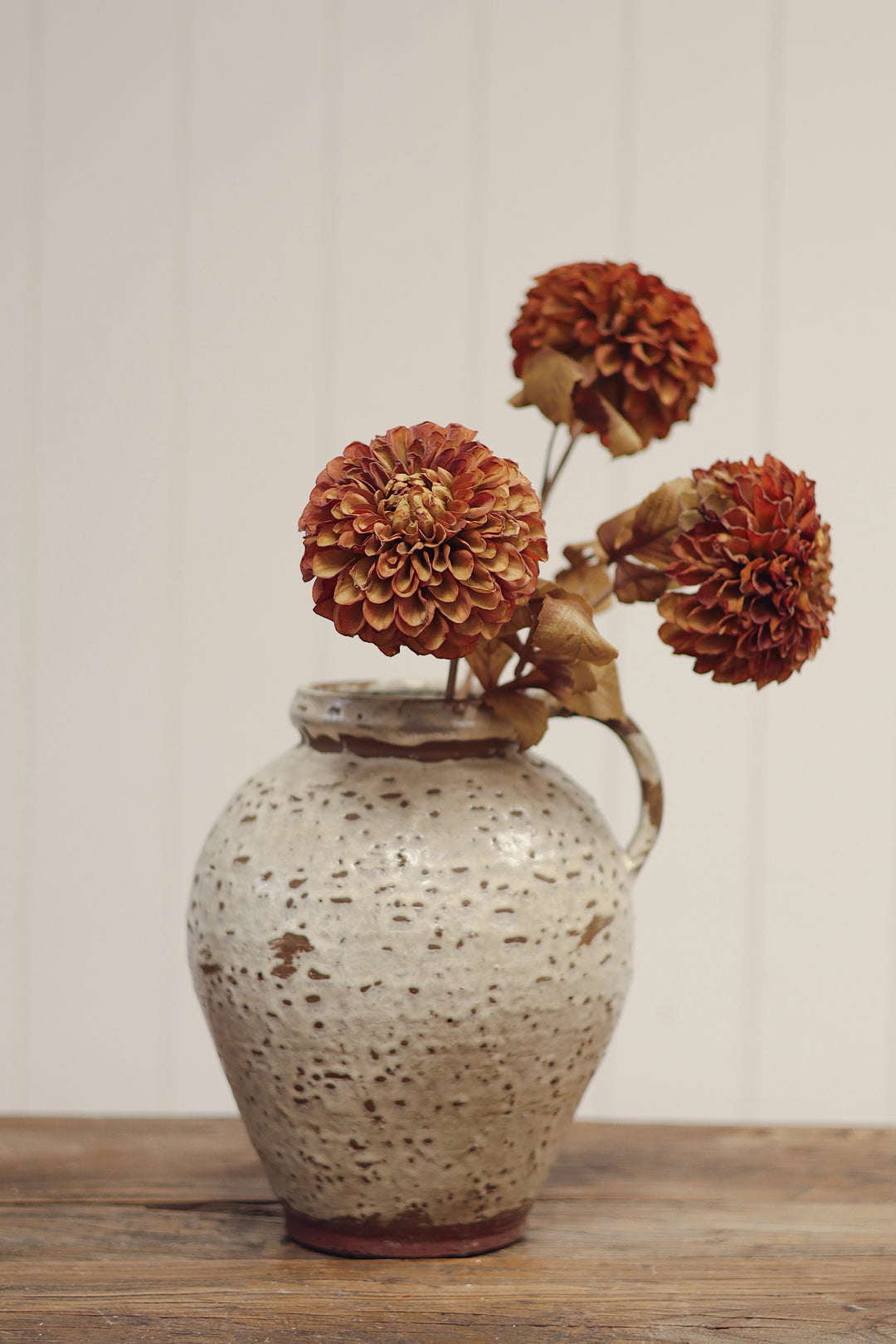 Dahlia Stem - Brown