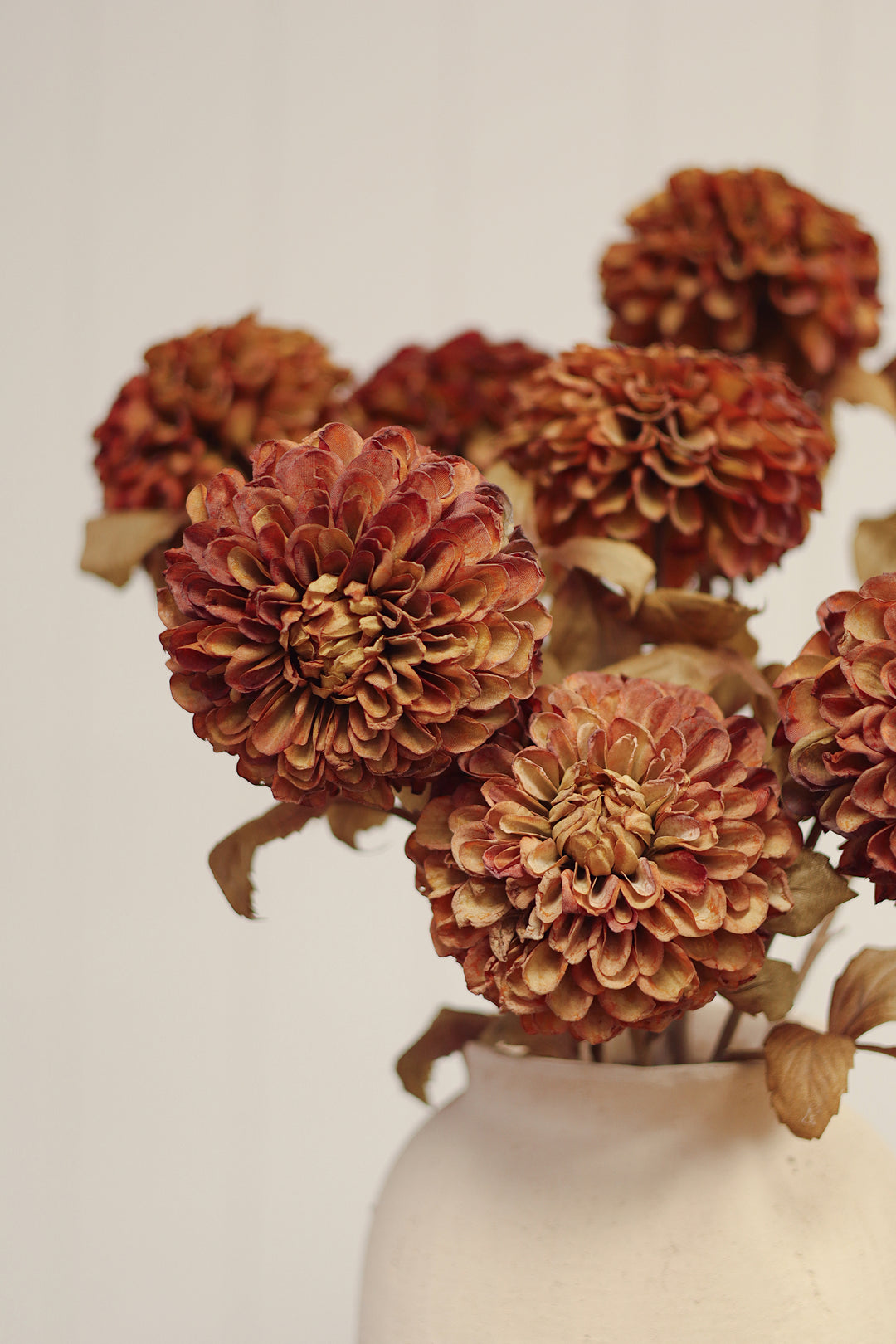 Dahlia Stem - Brown