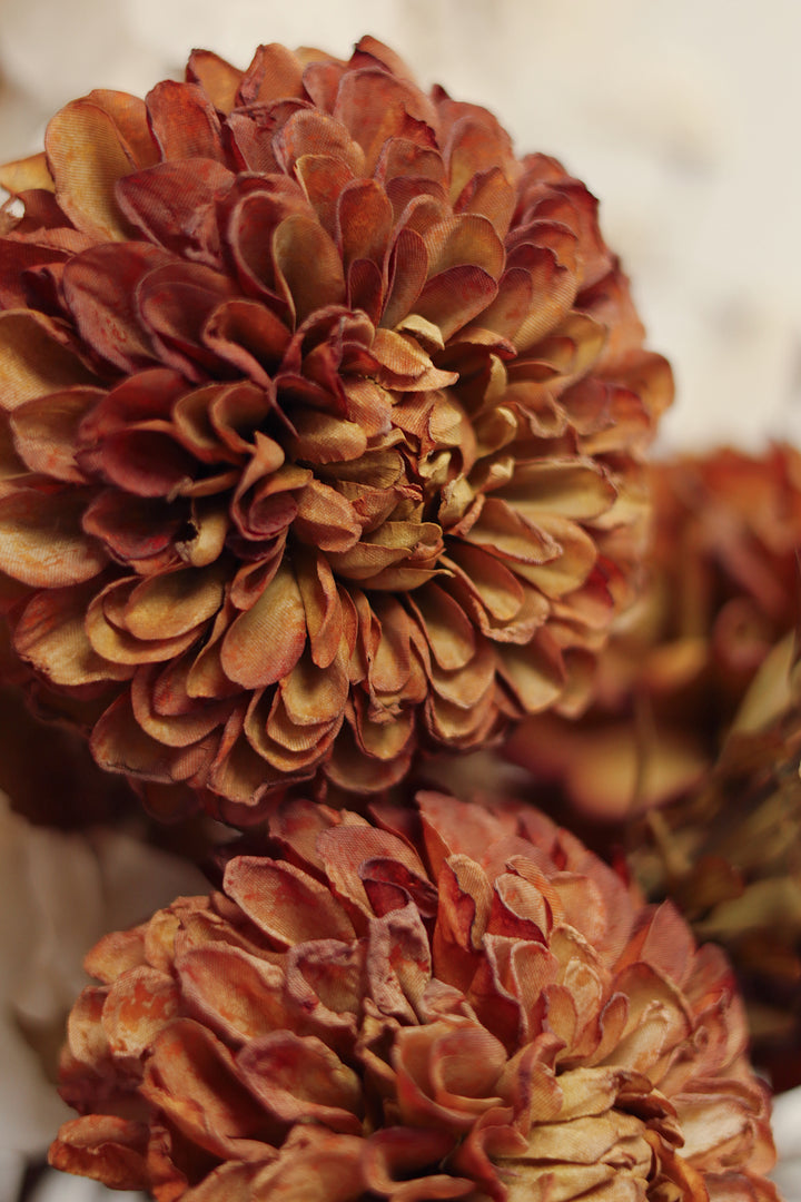 Dahlia Stem - Brown