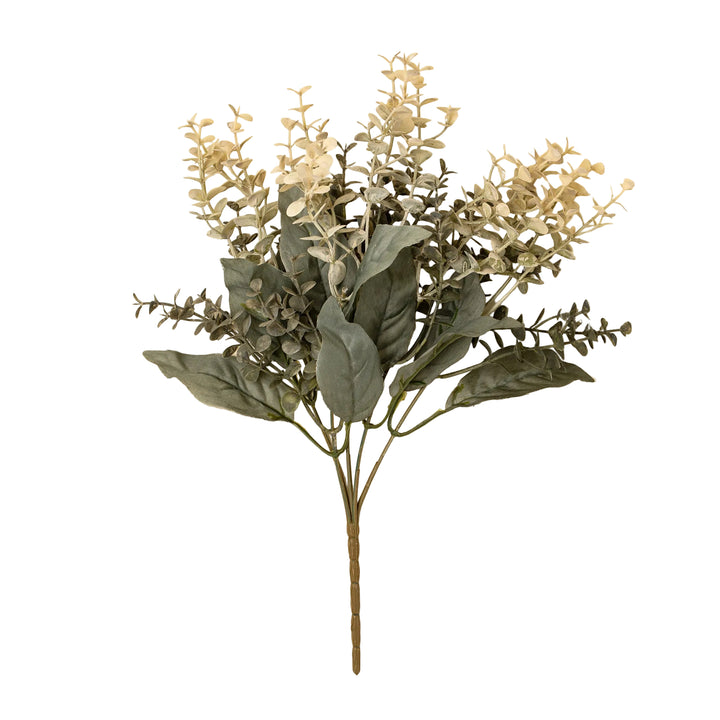 Eucalyptus Spray