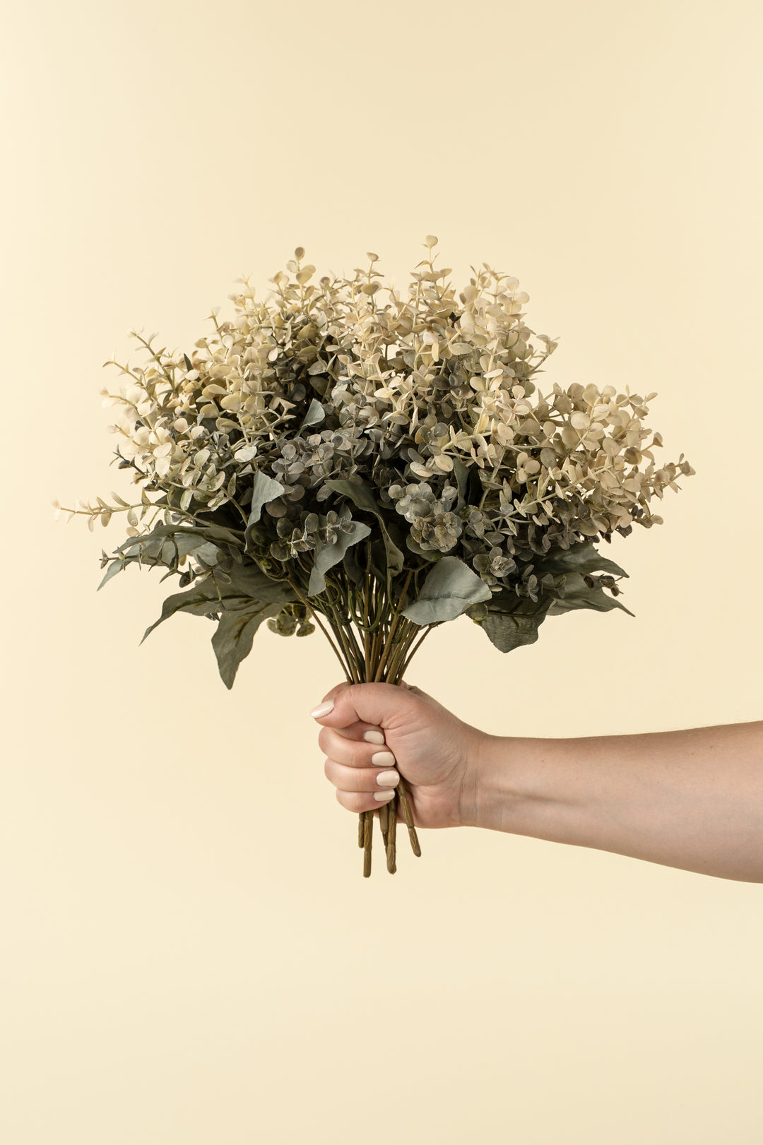 Eucalyptus Spray