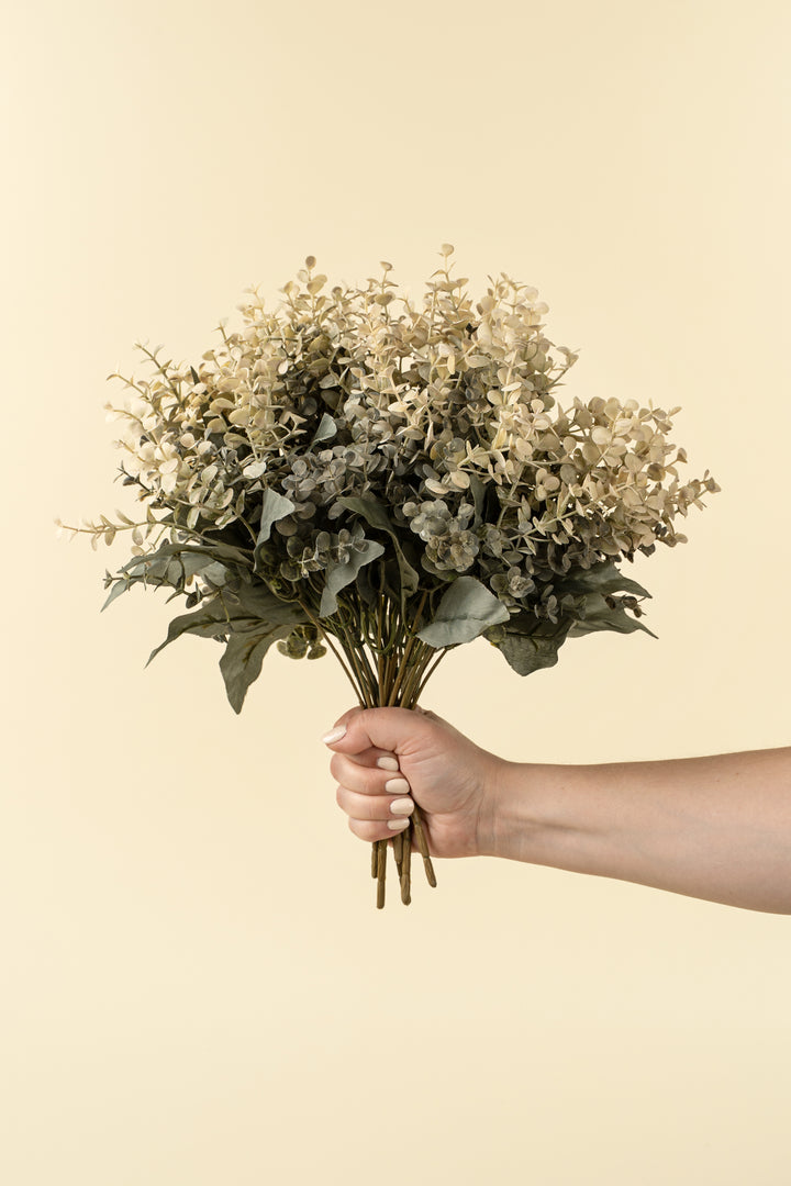 Eucalyptus Spray