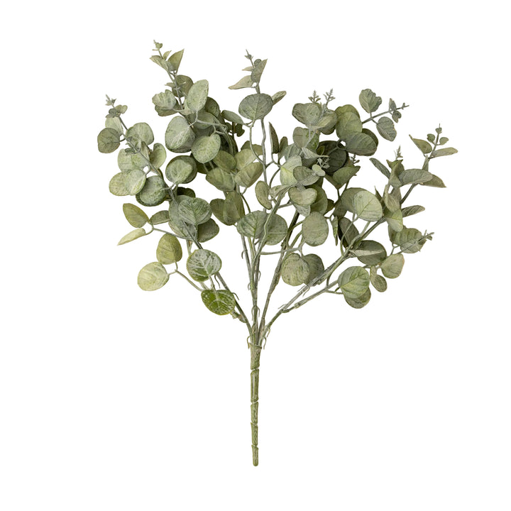 Eucalyptus Pick