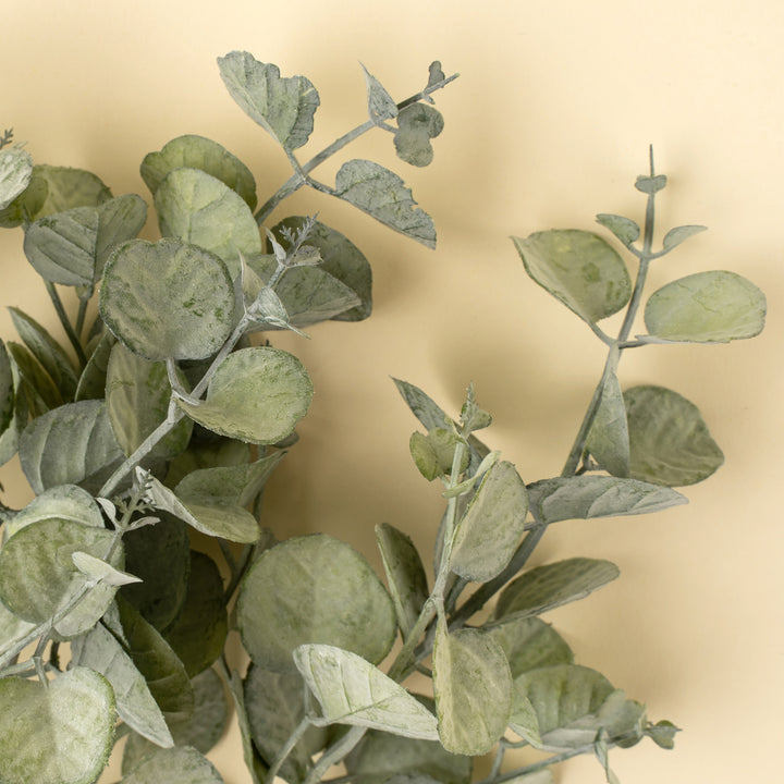 Eucalyptus Pick