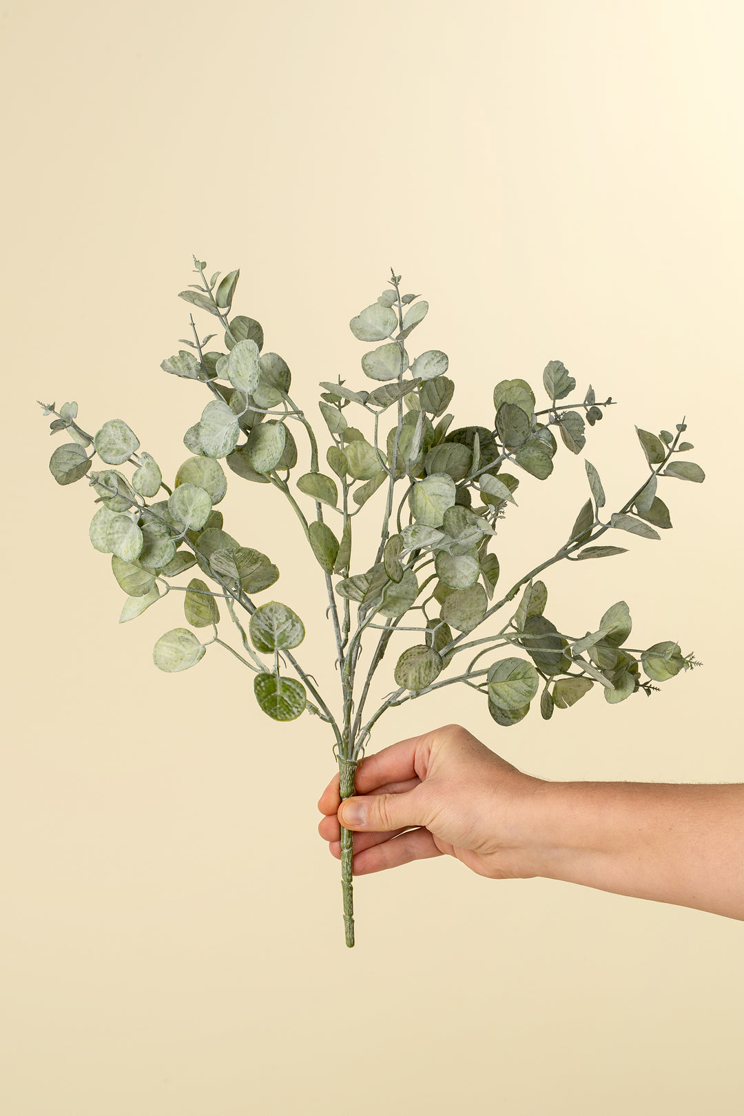 Eucalyptus Pick