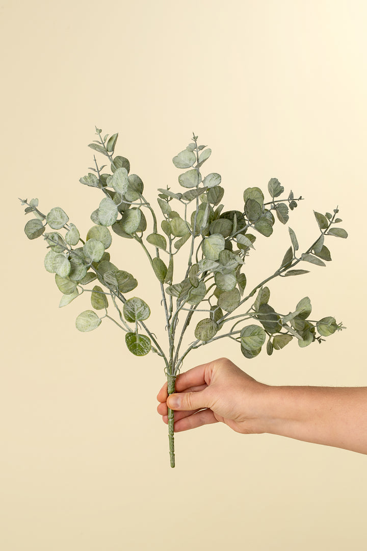 Eucalyptus Pick