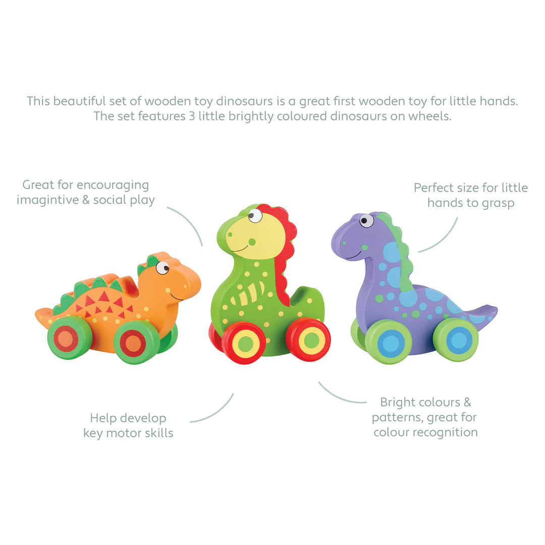 First Dinosaur Set