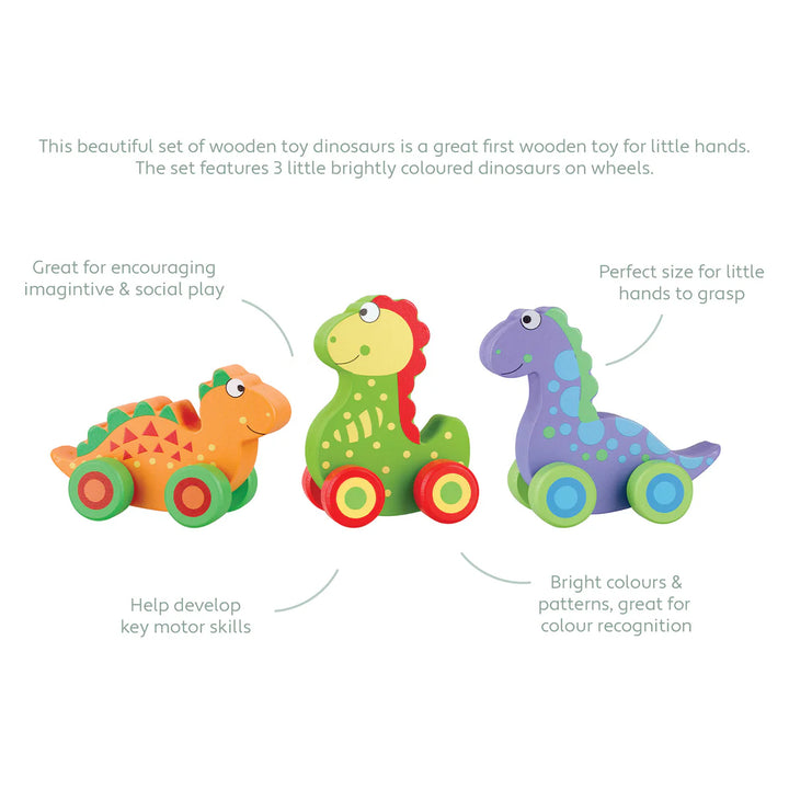 First Dinosaur Set