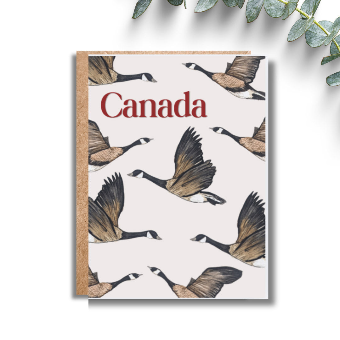 Amy Rae Maker Greeting Cards