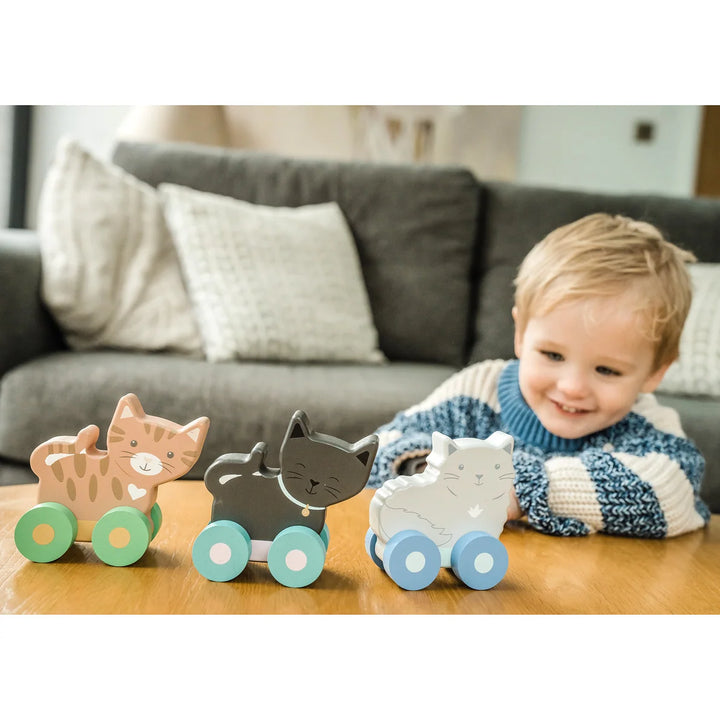 Kitty Push Toys