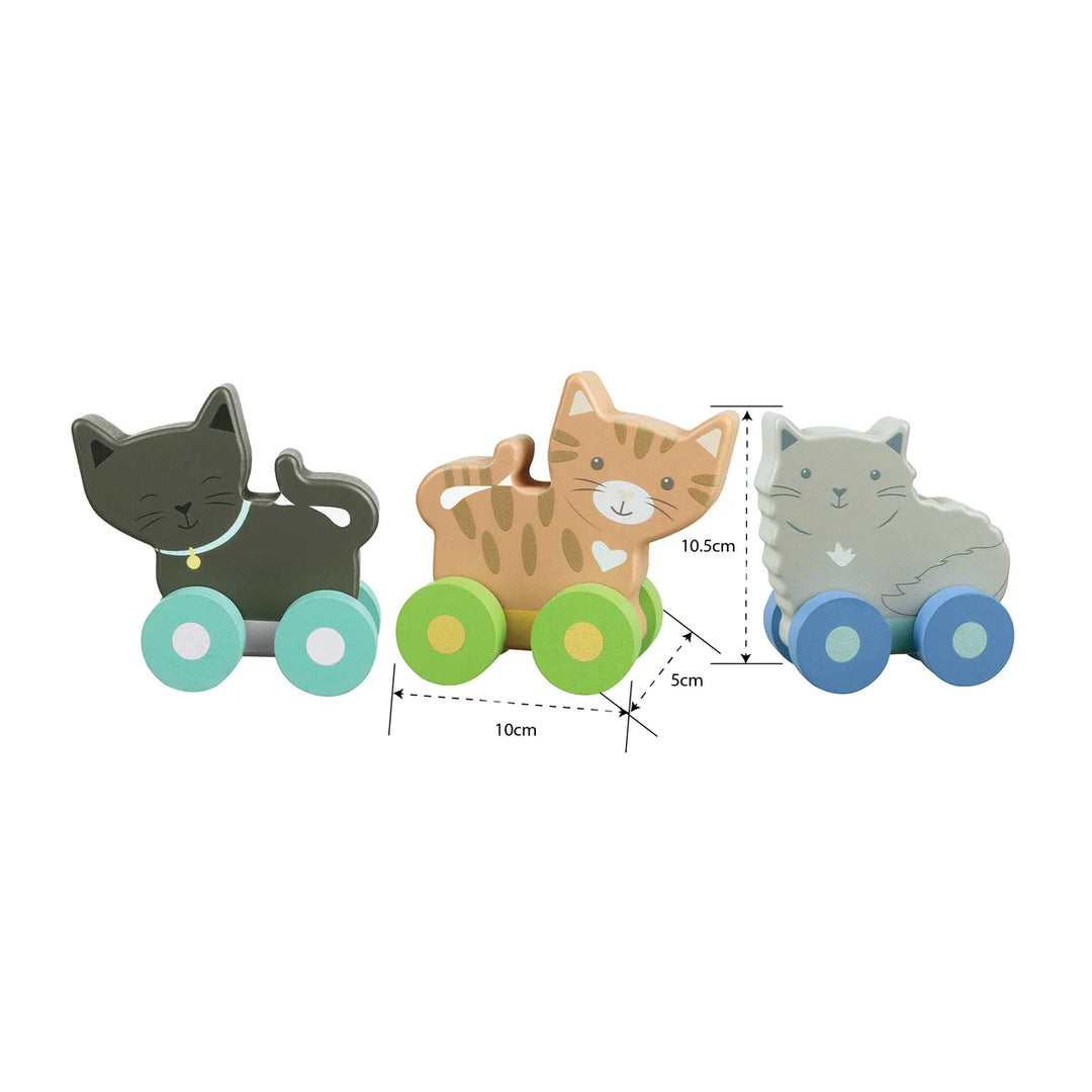 Kitty Push Toys