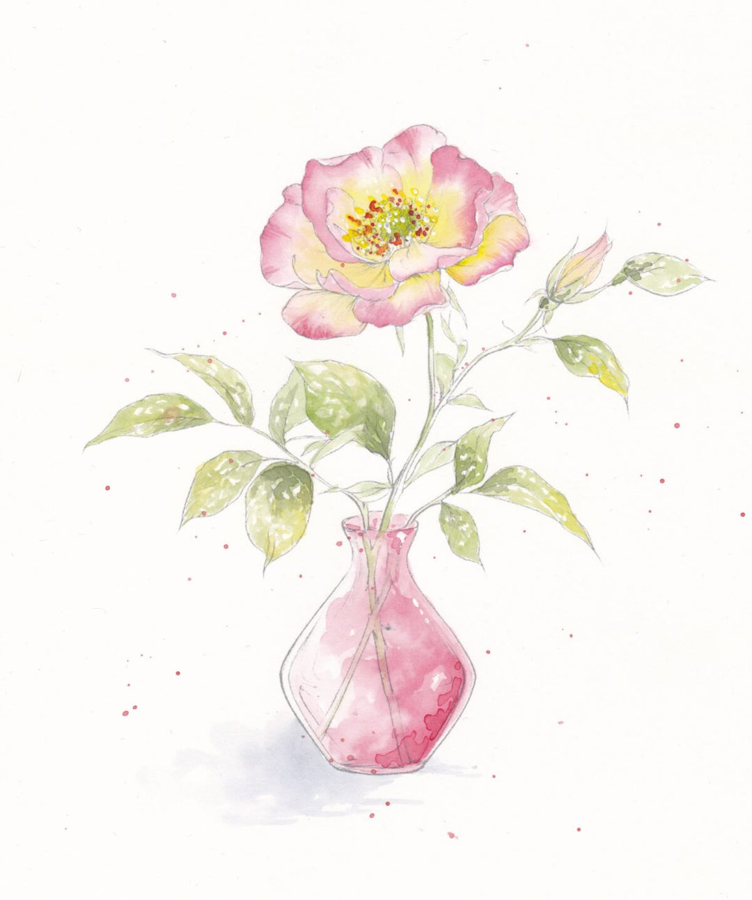Blooms &amp; Bouquet Watercolour Workbook