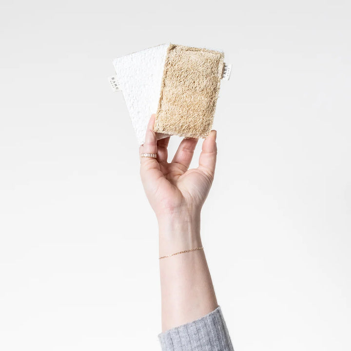 Cellulose &amp; Loofah Sponge