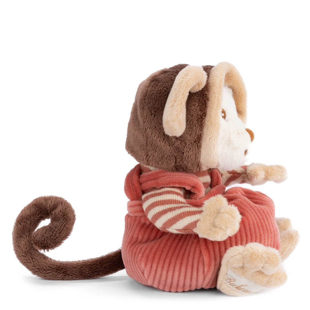 Ziggy Monkey