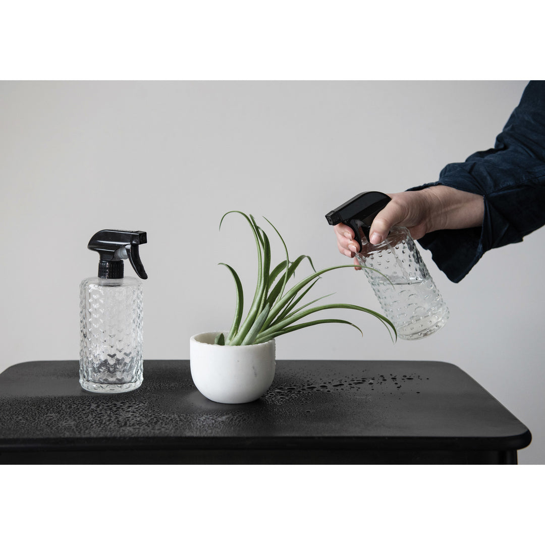 Glass Spray Bottle