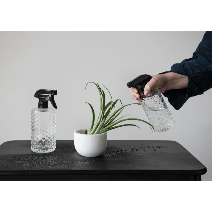 Glass Spray Bottle